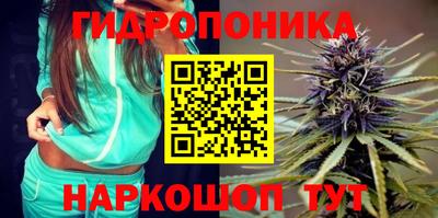 индика Ачхой-Мартан