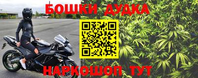 индика Ачхой-Мартан