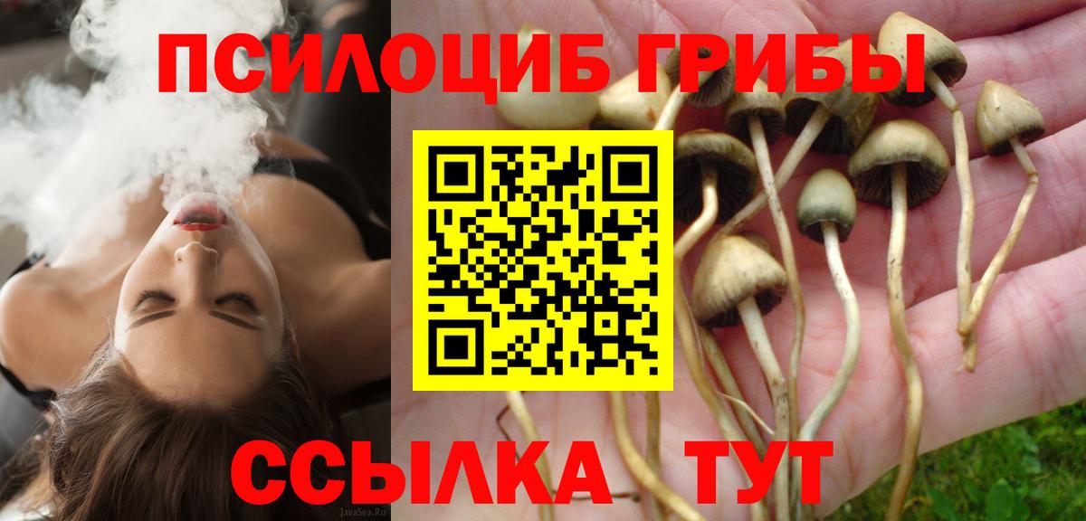 Богданович  Псилоцибиновые грибы мицелий  Вход с VPN 