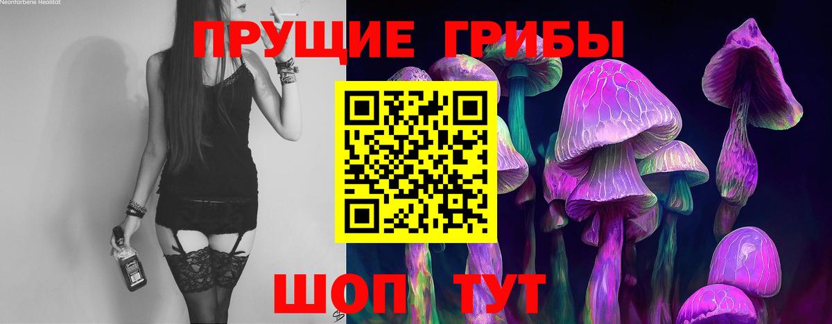 Псилоцибиновые грибы Cubensis Богданович
